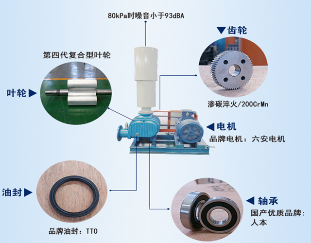 章丘豐源機械羅茨鼓風機產(chǎn)品結(jié)構(gòu)說明圖